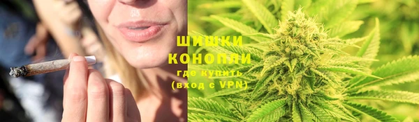 трава Новодвинск