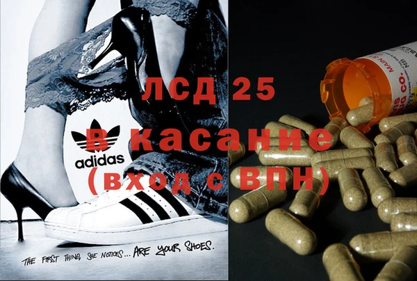 ГАЛЛЮЦИНОГЕННЫЕ ГРИБЫ Мегион