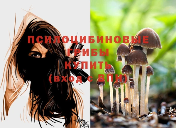 дистиллят марихуана Новозыбков