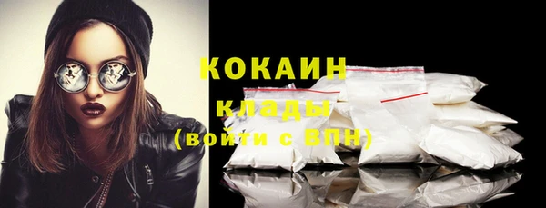трава Новодвинск