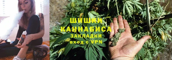 трава Новодвинск