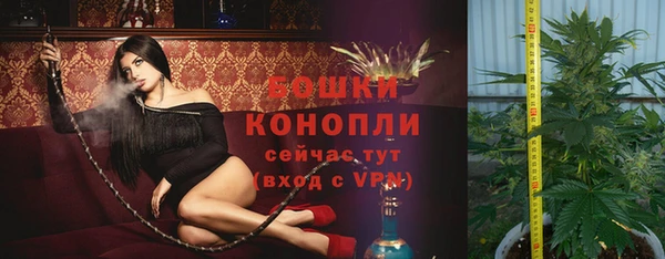 ECSTASY Медвежьегорск