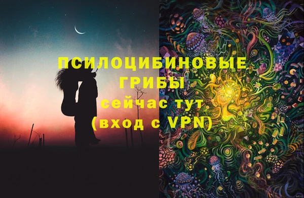 прущие крисы Медногорск