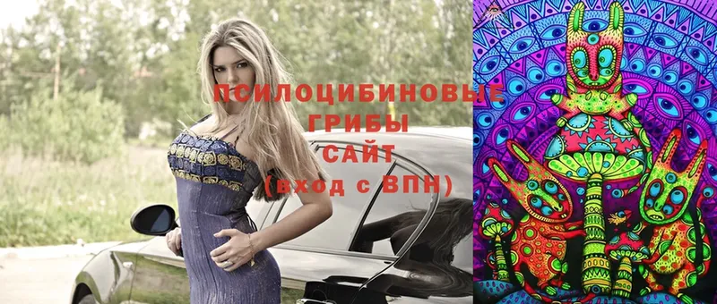 дарк нет официальный сайт  наркотики  Северск  Галлюциногенные грибы Magic Shrooms 