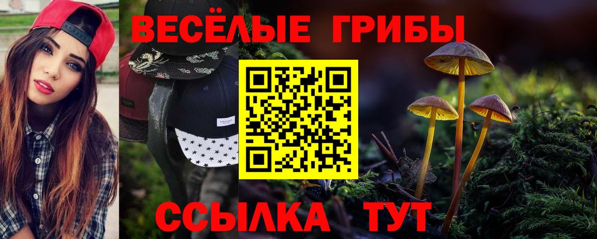 Галлюциногенные грибы прущие грибы  Псилоцибиновые грибы MAGIC MUSHROOMS  Северск  Вход с VPN 